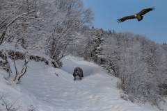 16-Dans-la-neige