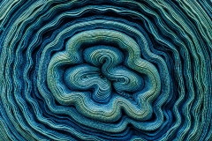 25-Fleur-de-textile
