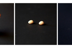 SORTIE DU CONFINEMENT SEMAINE 24 TRIPTYQUES " Le temps des cerises "